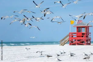 Siesta Key Thumbnail